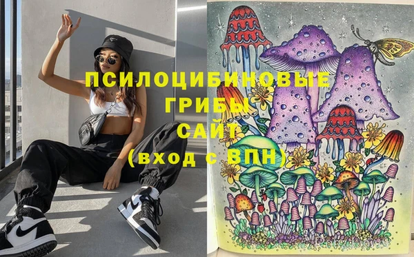 твердый Белокуриха