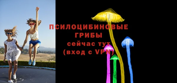 твердый Белокуриха