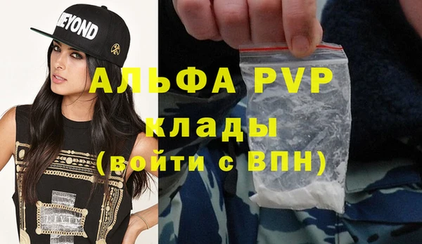 PSILOCYBIN Рославль